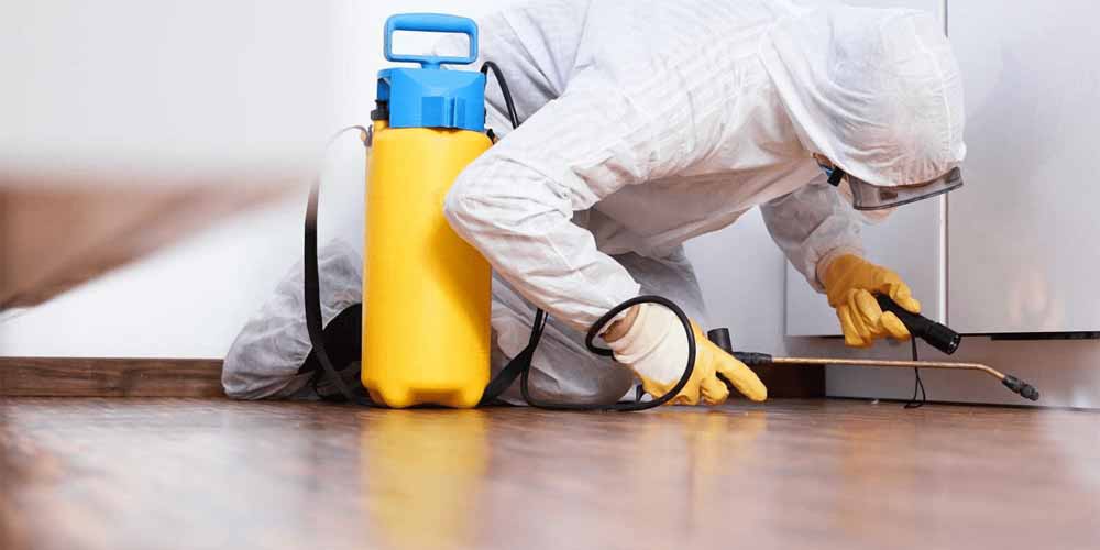 Comprehensive Residential Pest Control Services in McKinney, TX: Safeguarding Your Home and Family from Unwanted Guests